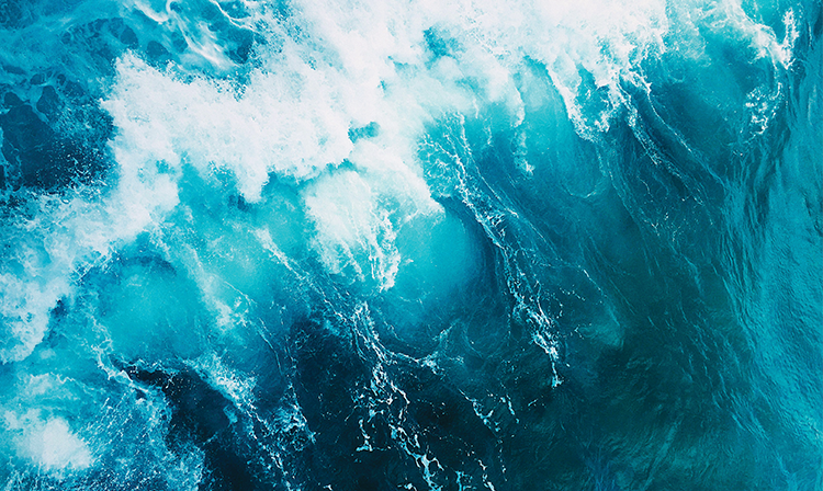 Ocean water.