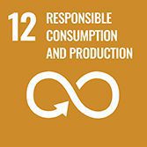 A graphic stating "12 Responsible Consumption and Production" with an icon of an infinity sign as an arrow