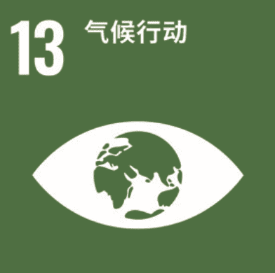 图形上注明 “13 项气候行动”的图形，其中有一个眼睛的图标，瞳孔代表世界